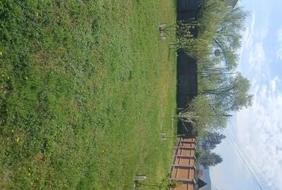 Casă cu Teren 2800 Mp în Aldeni - 2