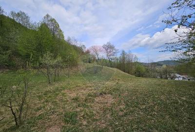 Teren superb, intravilan - la marginea padurii ! - 2