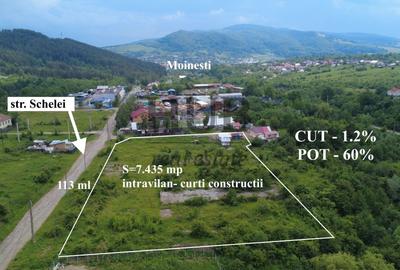 Teren intravilan curti constructii in Moinesti/Bacau - de vanzare - 1
