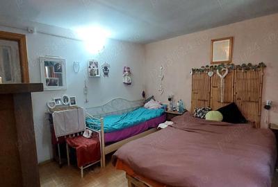 Casă cu 6 camere cu Teren 1050 Mp în Greșu - 13