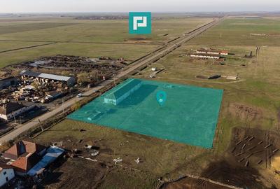 Hală industrială cu teren generos în Zărand, Arad - 2