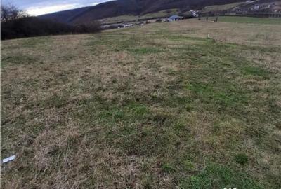 Teren în Betfia - 4