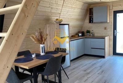 Afacere la cheie! Minicomplex 2 cabane A-frame, teren 1250mp, Vladeasa - 10
