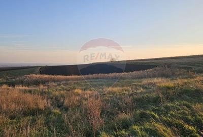 Teren agricol extravilan de 30077 mp, în Stroiești - 9