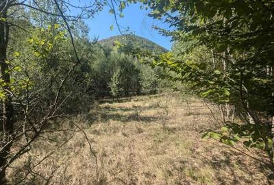 Teren de 35000 mp, în Borod - 2