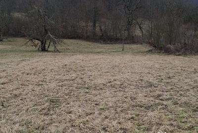 Teren de 3140 mp, în Petriș - 2