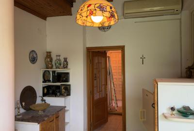 Teren Construcții intravilan de 3000 mp, în Mogoșoaia - 20