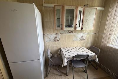 Apartament cu 2 camere semidecomandat în Sârbi - 6