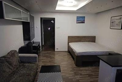 Garsoniera barajul bicaz-modern-metrou 5 minute costin georgian - 2