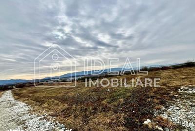 Spațiu comercial, în Mohu - 3