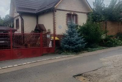 Casa de vanazare in Sandule?ti - 8