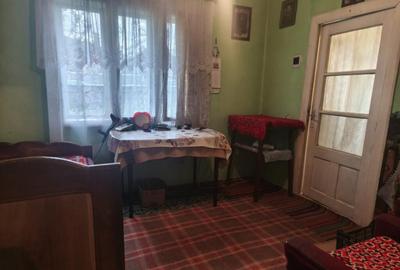 2 Case + 1600 mp Teren, zona centrala Balinesti, Siret - 22