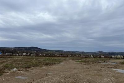 RECO IMOBILIARE ,TEREN Tineretului - 8