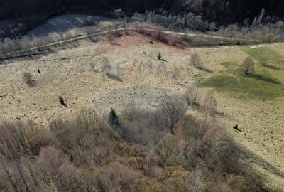 Teren agricol extravilan de 16466 mp, în Mara - 14