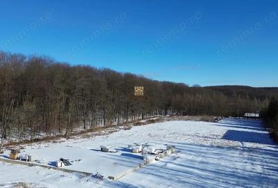 Teren de 9850 mp, în Dragomirna - 3