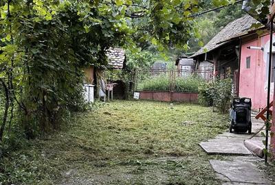 Casă cu 3 camere cu Teren 800 Mp în Nemșa - 10