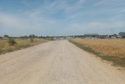 Teren Intravilan - Branesti - Investitie Pentru Hale Industriale - Vanzare - 20
