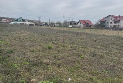 Spațiu comercial, în Bascov - 2