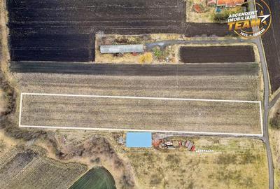 Teren intravilan de 5800 mp, în Dobolii de Jos - 4