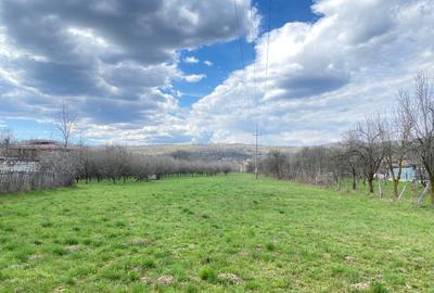 Teren Construcții intravilan de 7000 mp, în Berevoești - 11