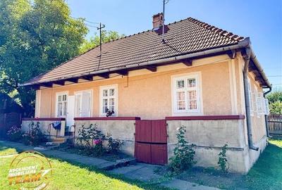 FILM! Doua case+anexe,rezidential/ comercial/de vacanta,Zagon,Covasna - 12