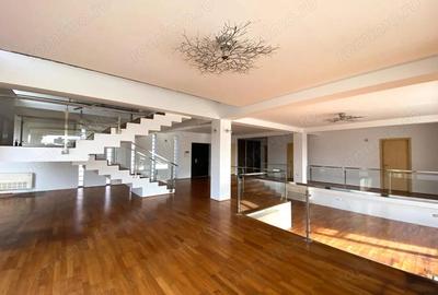 Oportunitate de afacere: spa?iu de inchiriat 650 mp in Arad - 17