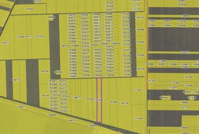 Teren de 5000 mp, în Schitu - 2