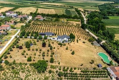 Visezi la o proprietate unică, plină de istorie și farmec? - 12