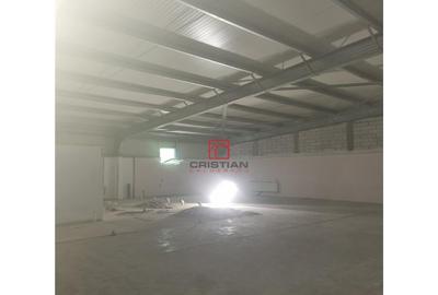 Depozit/hala/spatiu industrial Pantelimon - Colentina - Fun - 2