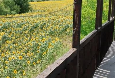 Casă cu 5 camere cu Teren 500 Mp în Mărăcineni - 2