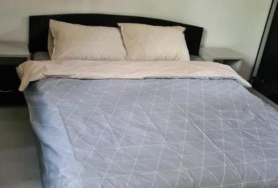 Apartament cu 2 camere semidecomandat, mobilat în Titan - 4