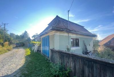 Casa de vanzare, 70 mp , teren de 3000 mp , Cacova Ierii - 13