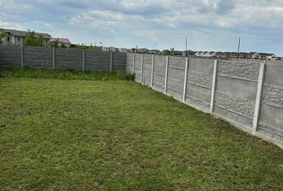 Casă cu 3 camere cu Teren 260 Mp în Timișoara - 10