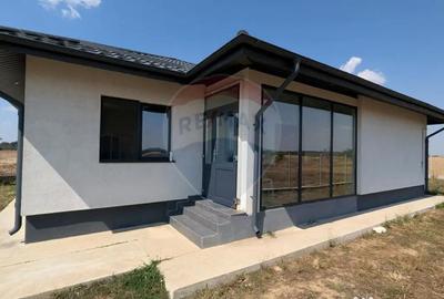 Casă cu 4 camere cu Teren 573 Mp în Bâldana - 3