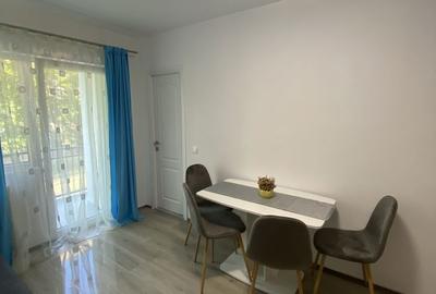 Garsonieră decomandată în Dosu Bricii