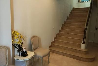 De inchiriat vila in zona Gradina Icoanei - 17