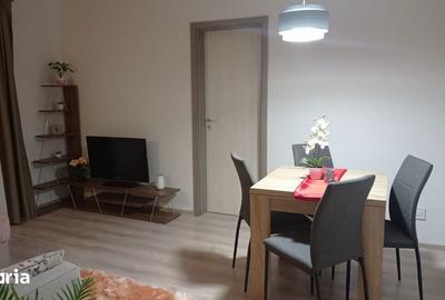 Apartament cu 2 camere în Vasile Aaron - 11