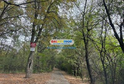 Vanzare teren 3300 mp Peris -deschidere padurea Scrovistea - 3