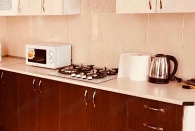 De inchiriat apartament cu o camera in zona Aradului - 2