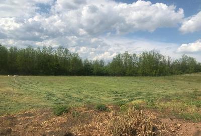 Teren de 60900 mp, în Gârbova - 4