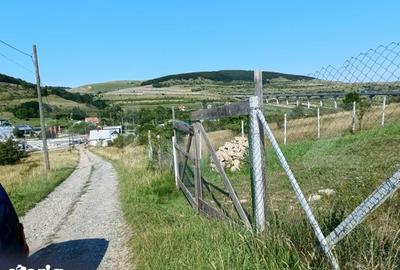 Teren de 1000 mp, în Feleacu