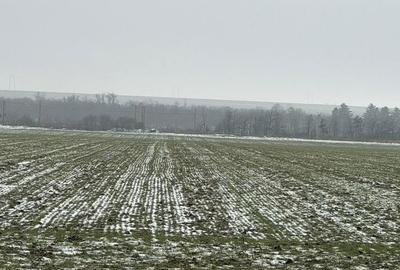 Teren de 260000 mp, în Central - 3
