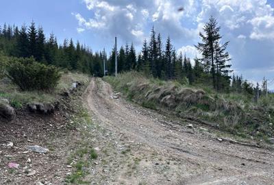 Teren de 1000 mp, în Muntele Băișorii