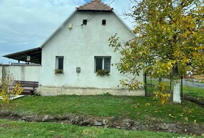 Vand casa la tara - 11