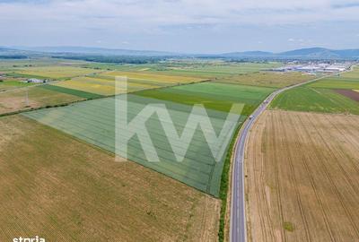 Teren de 43500 mp, în Hărman - 7