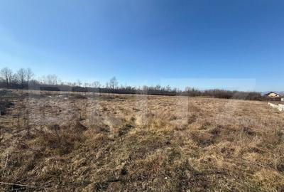 Teren Intravilan de vanzare, 2.574 mp, zona Dragutesti - 1