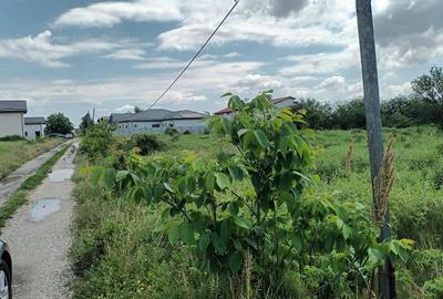 Domnesti, teren intravilan 828/24, strada Doinei, bun duplex, utilitati - 7