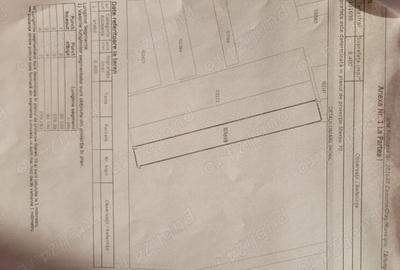 Teren de 8400 mp, în Tărlungeni - 2