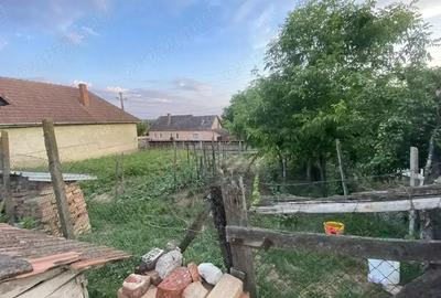 Casa de vanzare in Craiesti comuna Adamus - 3