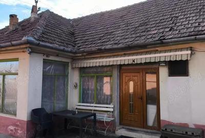 Casă cu 3 camere cu Teren 1439 Mp în Central - 3